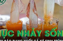Món 'mực nhảy sống' sốt mạng xã hội, chuyên gia cảnh báo đang nuốt cả ký sinh trùng