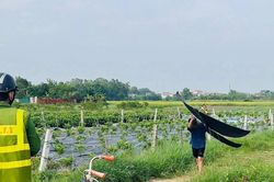 Sáo diều, thiết bị UAV liên tiếp đe dọa an toàn hàng không, vì sao khó dẹp?