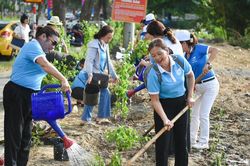 Cải tạo đất trống thành vườn xanh