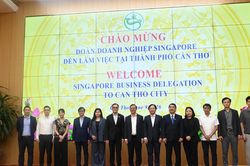 Cần Thơ đẩy mạnh hợp tác đầu tư với doanh nghiệp Singapore trên nhiều lĩnh vực