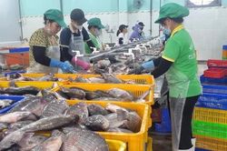 Vượt khó, xuất khẩu thủy sản tăng trưởng mạnh