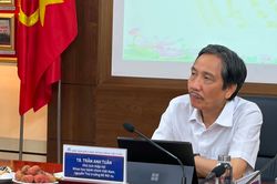 TS Trần Anh Tuấn: Trưởng phòng là 'siêu nhân' mới không có sai phạm