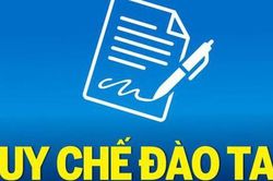 TOÀN VĂN: Dự thảo Thông tư Ban hành Quy chế đào tạo trình độ đại học