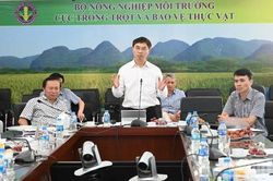 Xây dựng tiêu chuẩn quốc gia mới về sản xuất, sơ chế rau an toàn thực phẩm