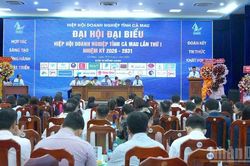 Cộng đồng doanh nghiệp C&agrave; Mau đổi mới tư duy, kiến tạo gi&aacute; trị mới