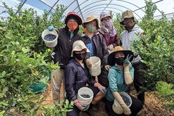 Tin vui cho lao động Việt Nam làm việc tại Úc