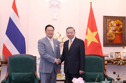 Tổng Bí thư, Chủ tịch nước Tô Lâm tiếp Thủ tướng Thái Lan