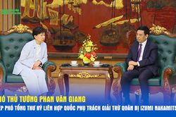 Phó thủ tướng Phan Văn Giang tiếp Phó tổng thư ký Liên hợp quốc phụ trách giải trừ quân bị Izumi Nakamitsu