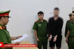 Khởi tố người nước ngoài đập phá quán cà phê ở Đà Nẵng