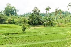 Cháu ngoại học giỏi, nói tiếng Anh như gió về nghỉ hè, ông bà nhận ra điều bất ổn