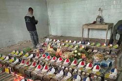 Cập nhật thông tin mới nhất vụ phát hiện hàng trăm hài cốt ở Ninh Bình