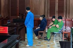 Ngụy trang kho ma túy trong hộp thực phẩm chức năng, 'ông trùm' lãnh án tử