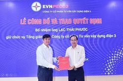 Phê chuẩn khởi tố Chủ tịch, Tổng Giám đốc và Kế toán trưởng Công ty Cổ phần Tư vấn Xây dựng Điện 3