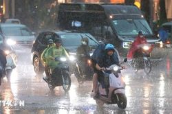 Thời tiết ngày 9/6: Cảnh báo nguy cơ mưa trên 80mm tại Bắc Bộ và Bắc Trung Bộ