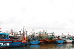 Từ Quảng Ninh đến Lâm Đồng chủ động ứng phó với vùng áp thấp trên biển