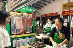 Lần đầu đưa thịt lợn 'tick xanh trách nhiệm' vào chợ truyền thống TP Hồ Chí Minh