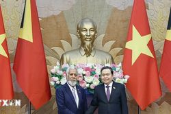 Tạo điều kiện thuận lợi triển khai thỏa thuận hợp tác giữa Việt Nam-Timor-Leste