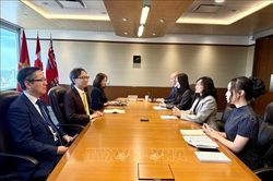 Việt Nam, Canada tìm động lực mới cho hợp tác thương mại