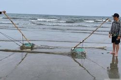 Ngư dân chạy đua với thủy triều, cào 'lộc trời' kiếm tiền triệu mỗi ngày