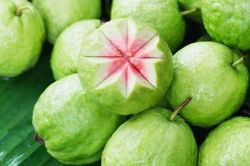 Lợi ích của quả ổi với sức khỏe