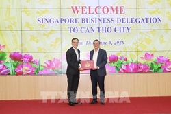 Cần Thơ mời gọi doanh nghiệp Singapore đầu tư vào công nghiệp, năng lượng và logistics