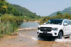 Vì sao Ford thay động cơ mới trên hàng loạt mẫu xe?