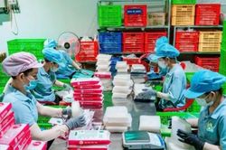 Doanh thu tăng nhưng startup vỡ trận vì bẫy tăng trưởng