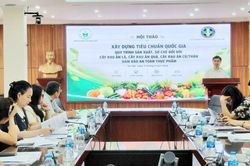 Chuẩn hóa sản xuất rau an toàn: Hướng tới dễ làm, dễ kiểm soát