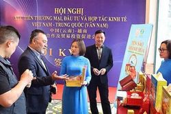 Việt Nam - Trung Quốc tăng cường kết nối doanh nghiệp qua Vân Nam