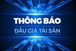 Thông báo về việc lựa chọn tổ chức bán đấu giá tài sản