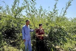 Lan tỏa phong tr&agrave;o thi đua 'Tuổi cao - gương s&aacute;ng' ở phường Đ&ocirc;ng Sơn