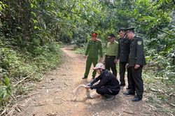 Tăng cường quản lý, bảo vệ các loài động vật hoang dã, nguồn lợi thủy sản