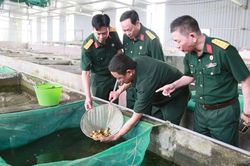 Phát huy phẩm chất người lính Cụ Hồ trên mặt trận kinh tế