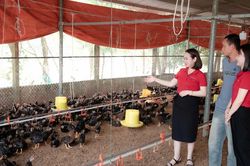 Giảm lãi suất, tăng khả năng hấp thụ vốn