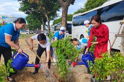Khoác áo mới cho khu đất trống