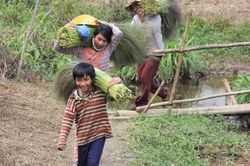 Mít non gửi xuống…