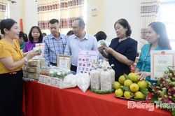 Tiếp sức để phụ nữ vững tin làm chủ kinh tế tập thể