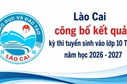 Lào Cai công bố kết quả kỳ thi và điểm chuẩn vào lớp 10 THPT