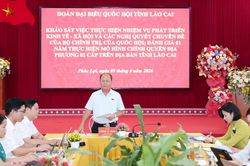 Đoàn đại biểu Quốc hội tỉnh khảo sát tại xã Phúc Lợi