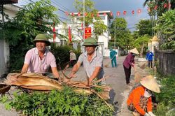 Chung sức xây dựng Lâm Ðồng ngày càng thêm xanh