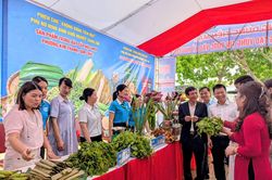 Phụ nữ Ninh B&igrave;nh t&iacute;ch cực hưởng ứng phong tr&agrave;o 'B&igrave;nh d&acirc;n học vụ số'