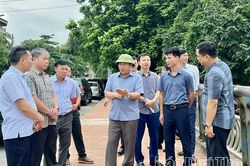 Kiểm tra tình trạng sạt lở bờ sông tại khu vực Vĩnh Phúc