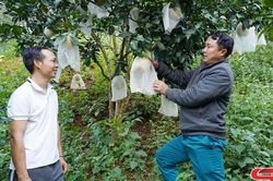 Đảng bộ xã Long Hẹ lãnh đạo nhân dân phát triển kinh tế