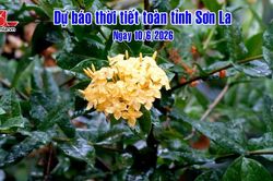 Dự báo thời tiết toàn tỉnh Sơn La ngày 10/6/2026