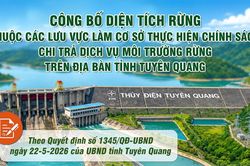 Công bố diện tích rừng thuộc các lưu vực làm cơ sở thực hiện chính sách chi trả dịch vụ môi trường rừng trên địa bàn tỉnh Tuyên Quang