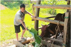 Đổi mới cơ chế quản lý Chương trình giảm nghèo: Tăng phân cấp, lấy người dân làm trung tâm