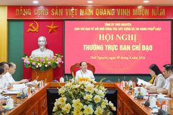 Nâng cao chất lượng công tác xây dựng, thi hành pháp luật