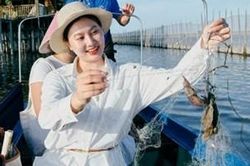 Ngắm hoàng hôn, làm ngư dân ở đầm Chuồn