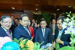 Kiến tạo năng lực phát triển từ 'tam nông'