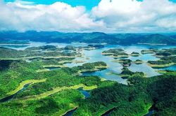 Hiện thực hóa tư tưởng văn minh sinh thái